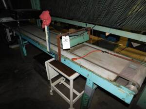 Custom 15"W x 110"L Drying Belt Conveyor